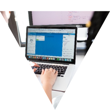 SOFTWARE CONSULTANCY